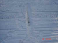 trail 655