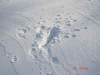 Houghton lake 6" of snow