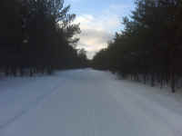 IMG00431.jpg (477842 bytes)