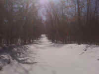 IMG00450.jpg (525520 bytes)